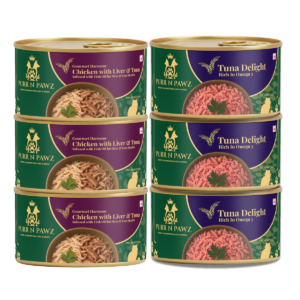 Starter Pack 6 cans mixed flavors
